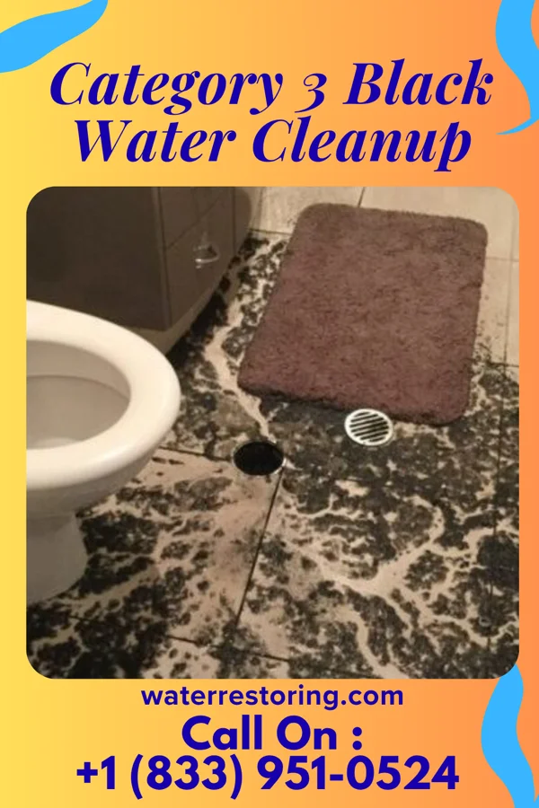 Category 3 Black Water Cleanup in Montezuma, OH