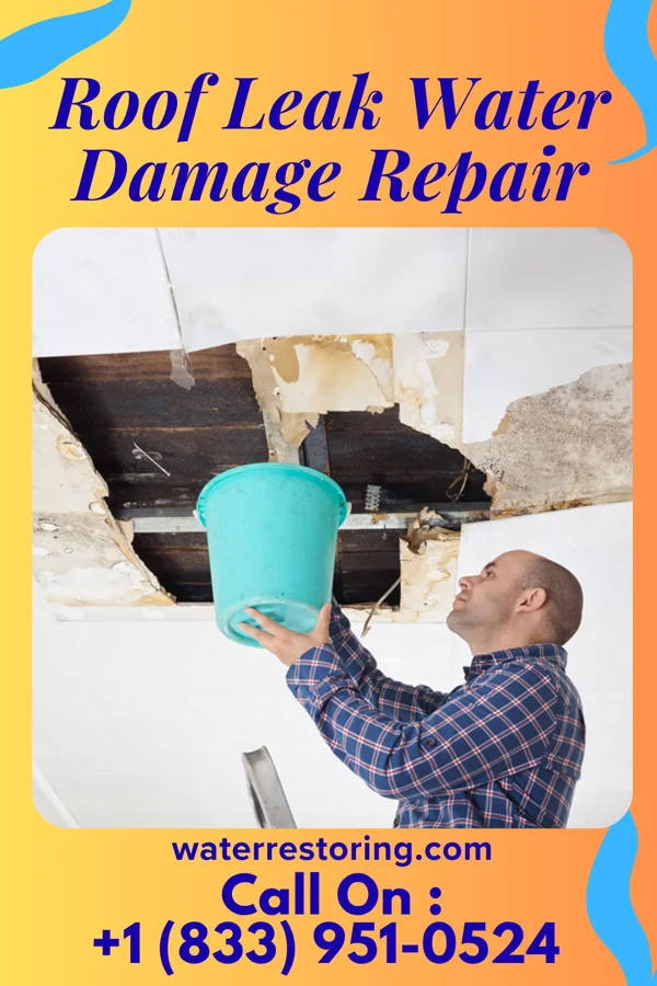 Roof Leak Water Damage Repair in Montezuma, OH