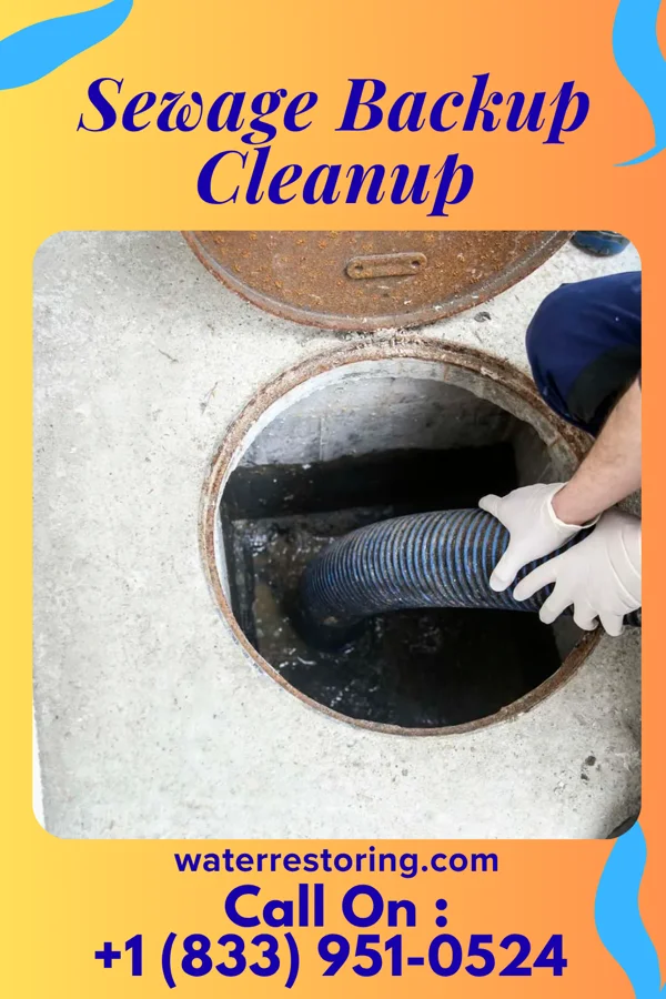 Sewage Backup Cleanup in Montezuma, OH
