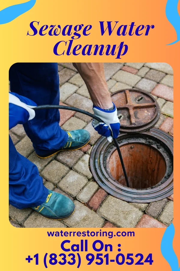 Sewage Water Cleanup in Montezuma, OH